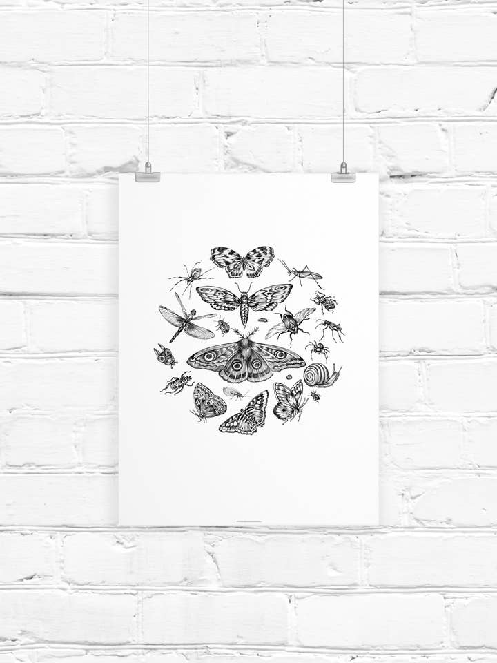 InsectTaxonomy for wholesale by LINNA