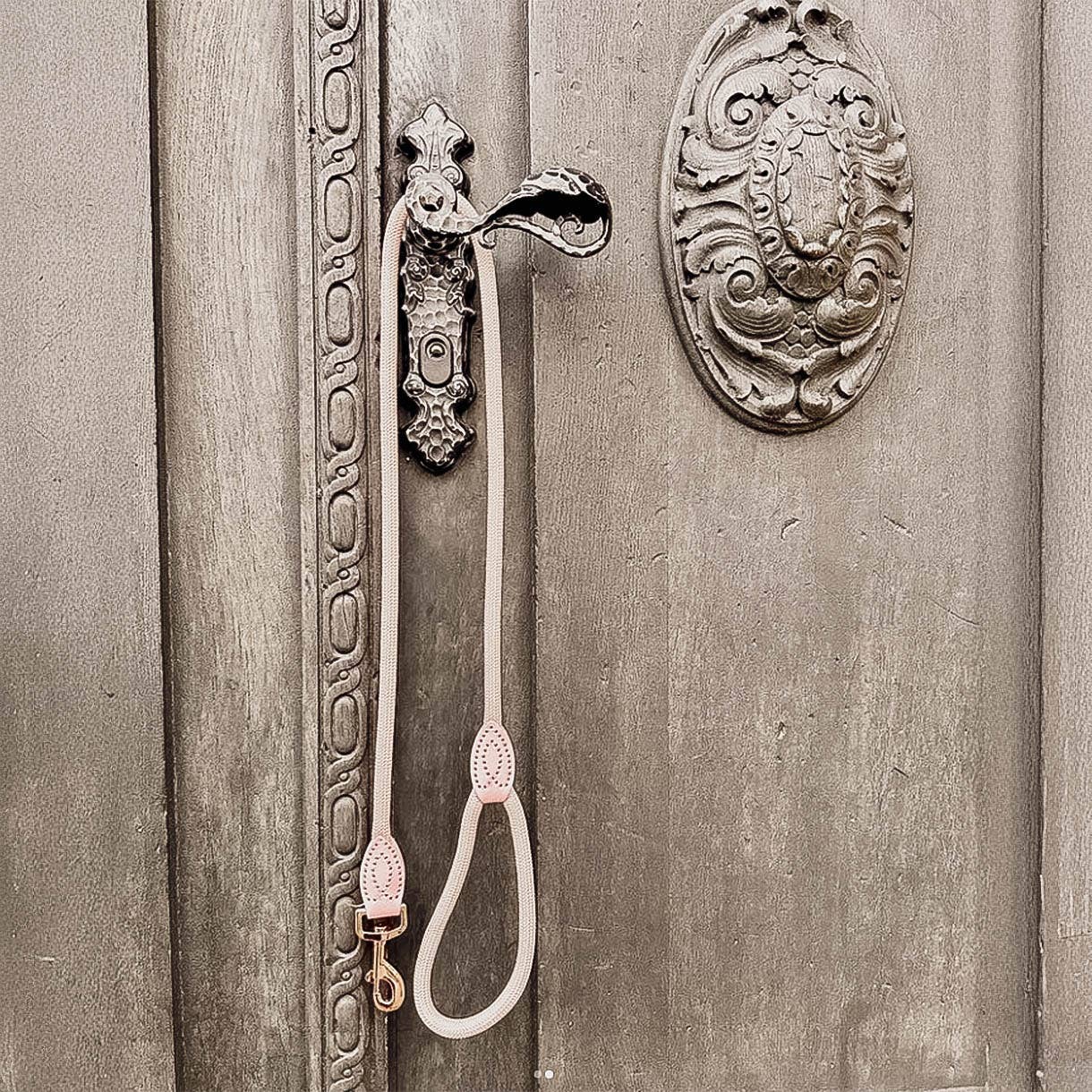 ne&no - Vente Laisse – chien - ne&no® Laisse pour chiens –120 ou 170 cm– laisse fixe9