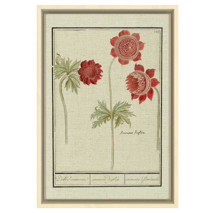 Anemone Duplex - Arte da parete stampata su tessuto per la vendita all'ingrosso da parte di SPLASHWORKS