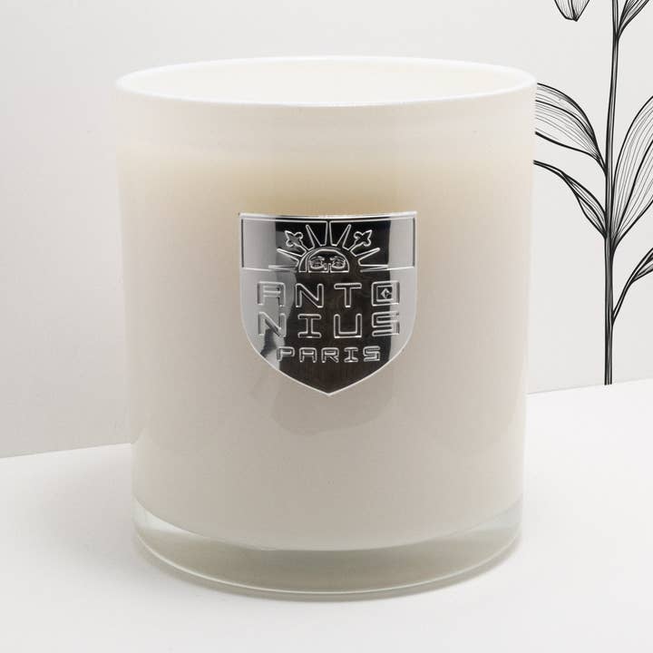 Französischer Flieder für den Großhandel von Maison Antonius