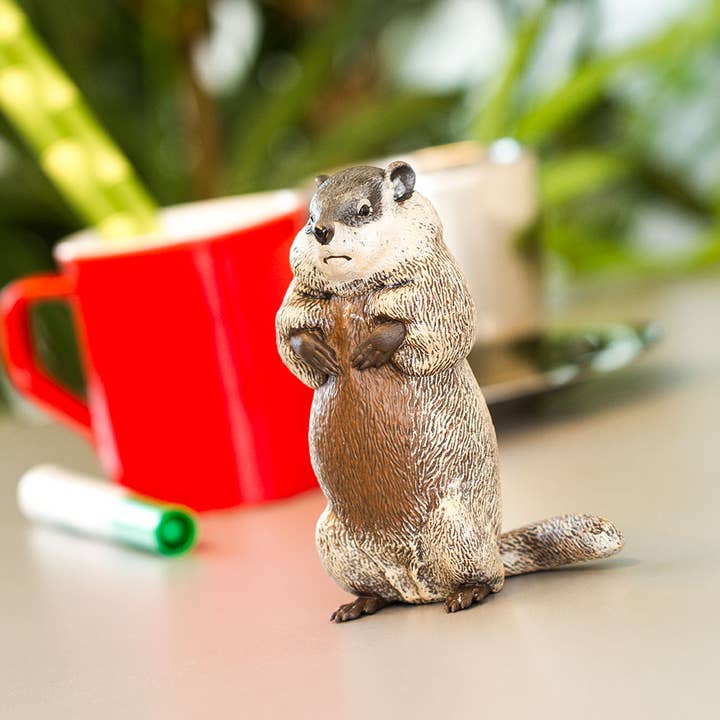 Safari Ltd. - Wholesale Decorative Figurine - Groundhog - 1001188