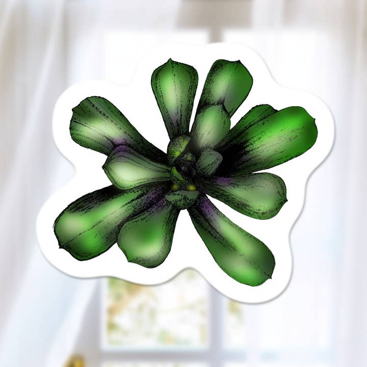 Adesivo acquerello succulente, decalcomania piante verdi per la vendita all'ingrosso da parte di Katekreates