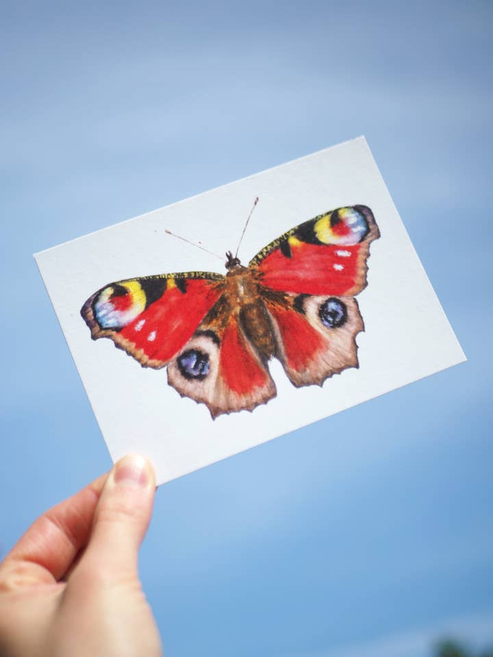 Butterfly postcard for wholesale by Jona Art