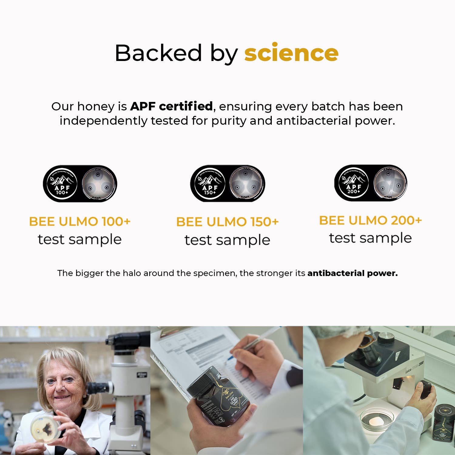 Bee Ulmo - Wholesale Honey - BEE ULMO Honey APF 100+. Support Your Immune System3