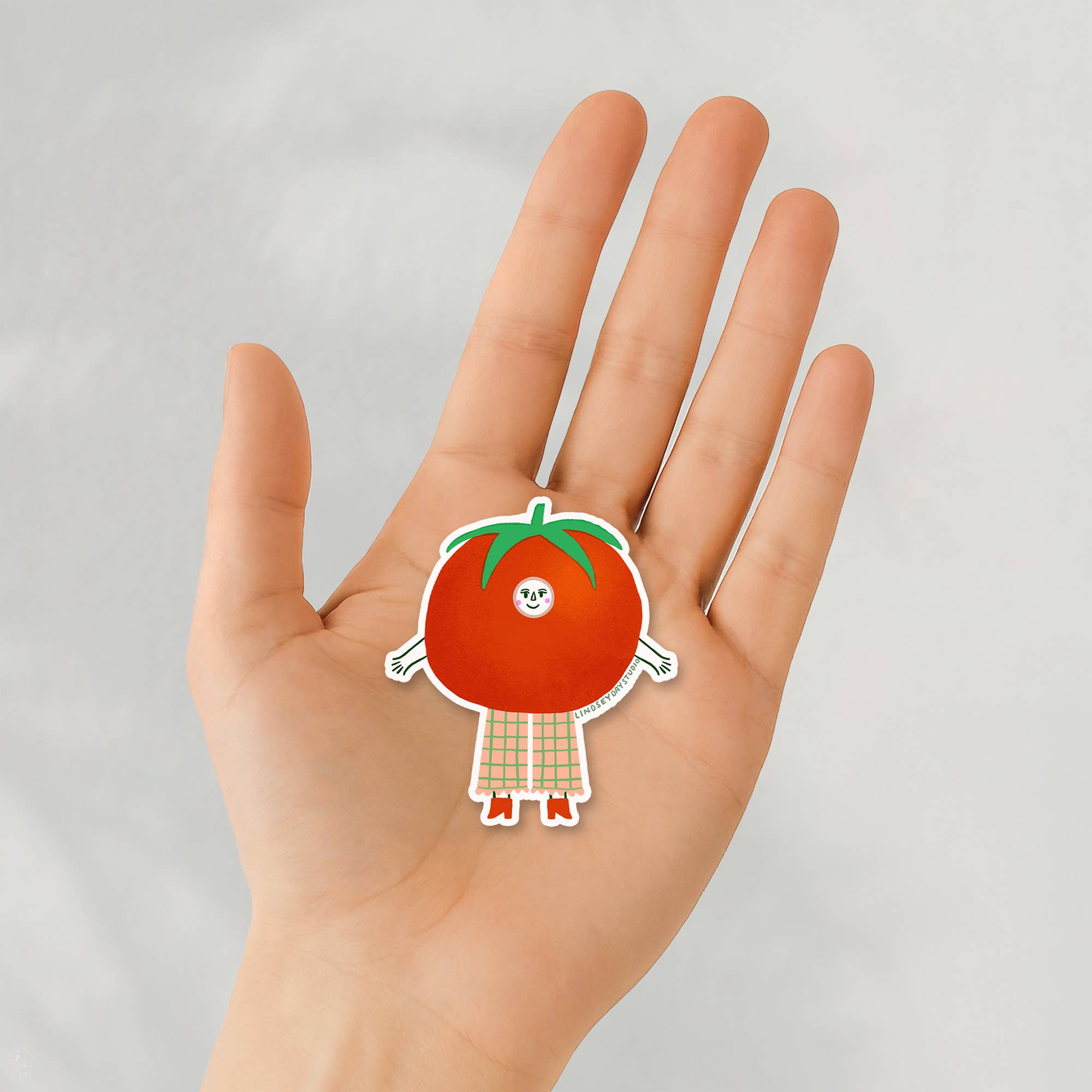 Lindsey Day Studio - Wholesale Sticker - Tammy Tomato Sticker, Funny Sticker, Food Sticker 9