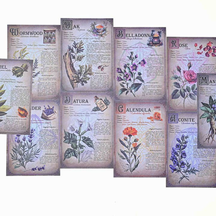 Herbal Magic Paper Set for wholesale by CoraCreaCrafts
