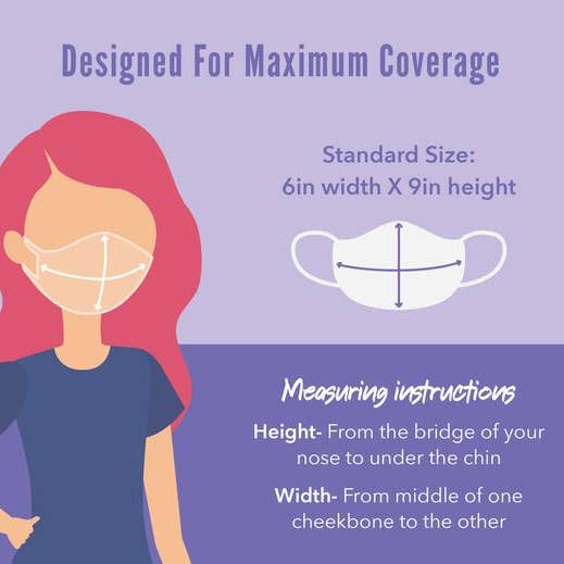 Norms – wholesale Protective face mask/shield – Dragon Fly Triple Layer Protection Face Mask - Pack of 26