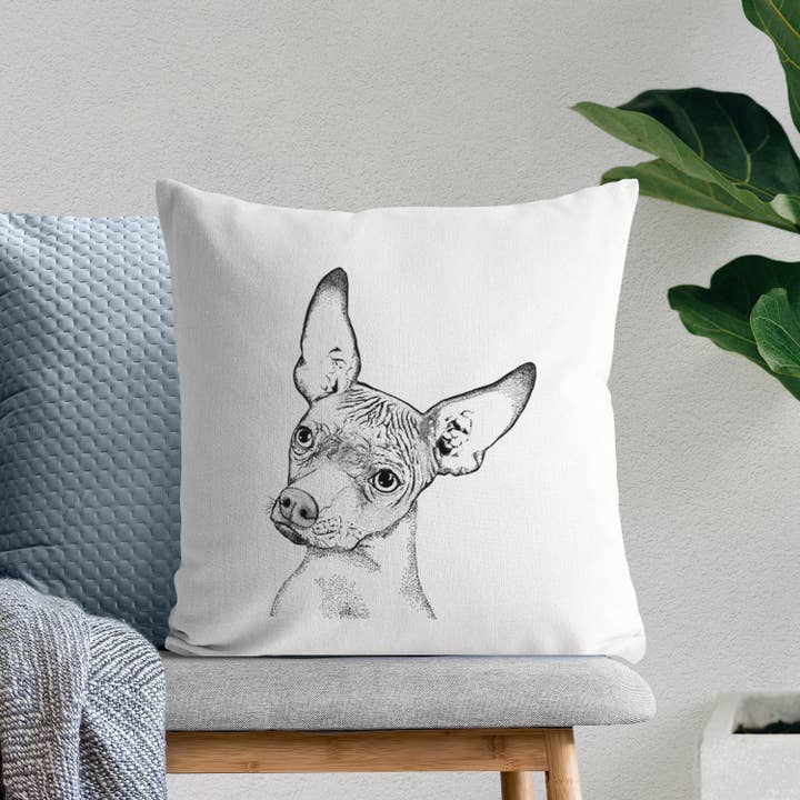 Inkopious - Wholesale Throw Pillow Cover - Kahlo the Xoloitzcuintli - Throw Pillow Cover