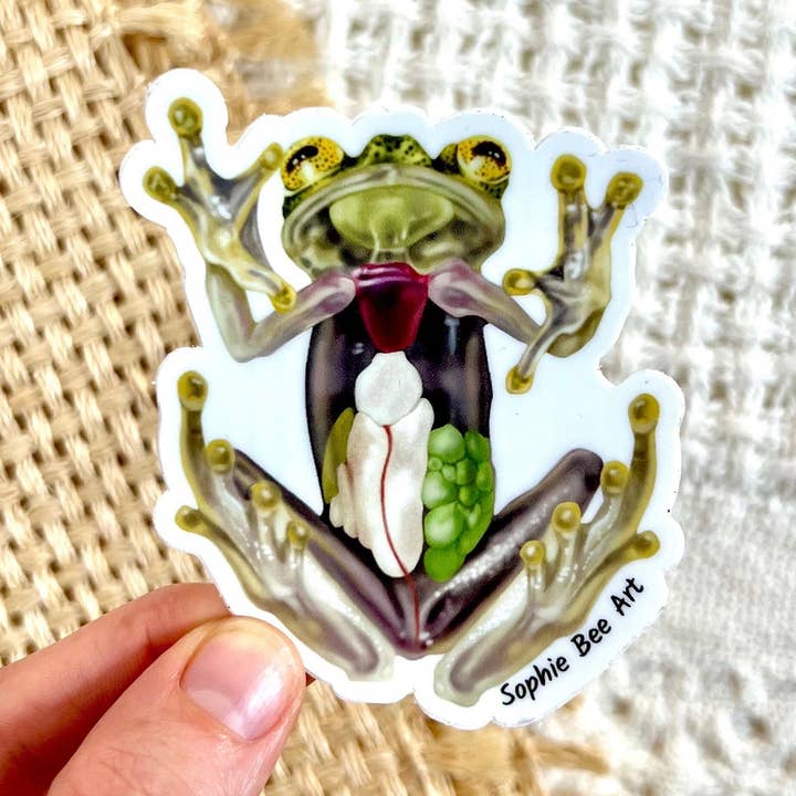 Adesivo in vinile a forma di rana 7,6 x 6,3 cm per la vendita all'ingrosso da parte di Sophie Bee Art