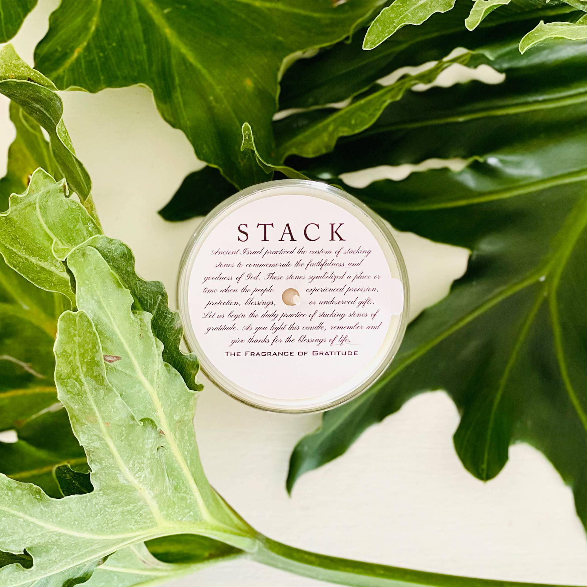 STACK The Fragrance of Gratitude - Vendita all'ingrosso Candela in vasetto - Candela lussureggiante4