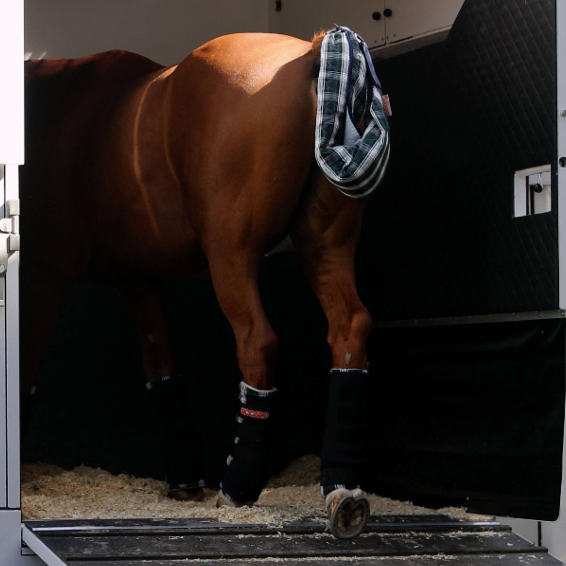 Tartan Sèche-queue Wrapido pour cheval en vente sur Faire2