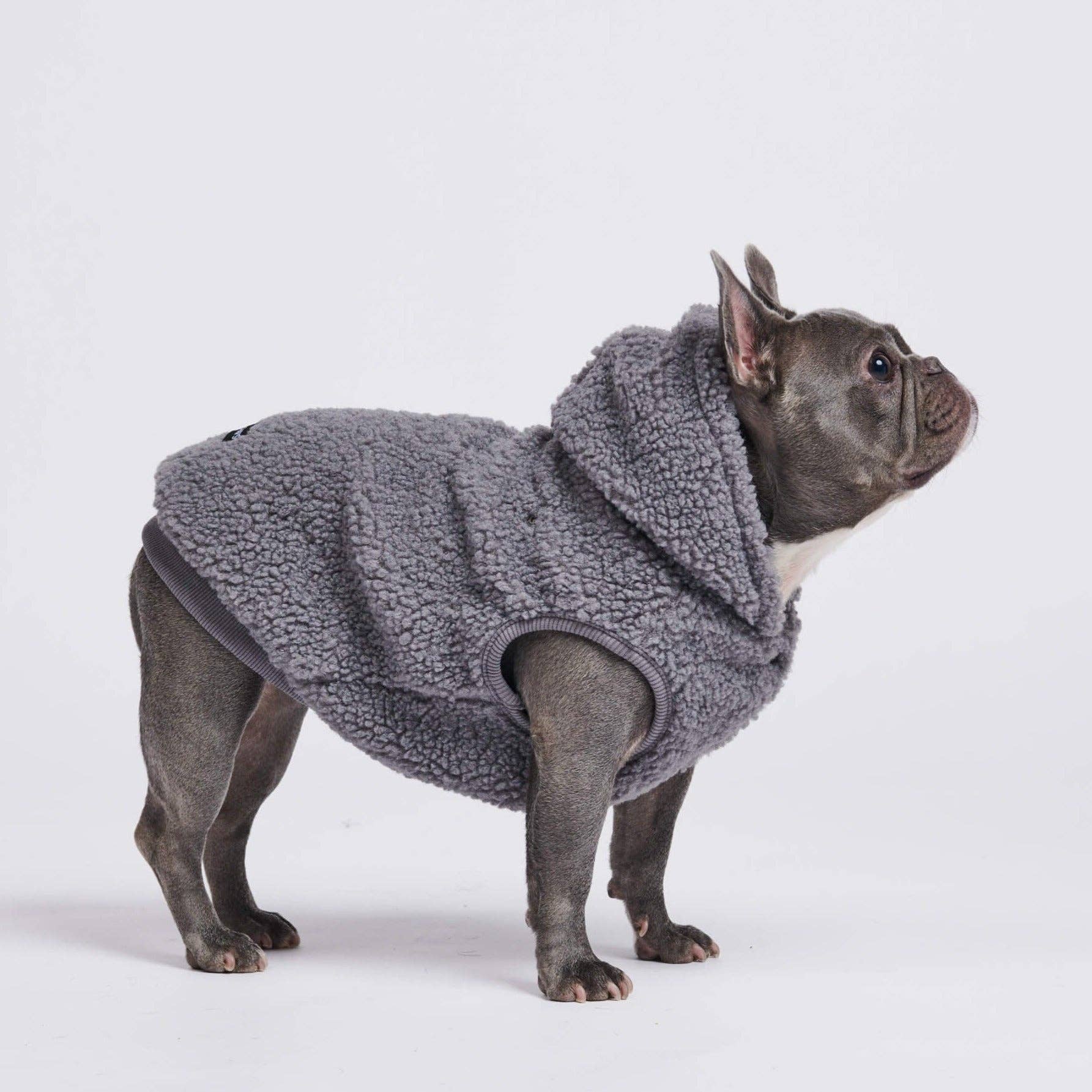 Spark Paws - Vente Veste – chien - Veste en teddy sherpa pour chien - gris