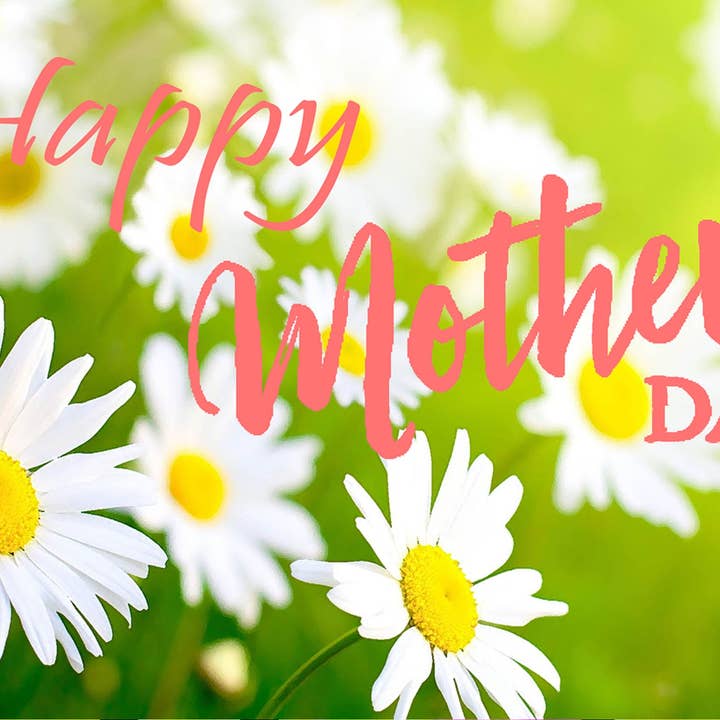 prästkragar för wholesale av Culture Greetings