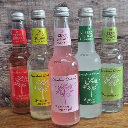 Breckland Orchard – wholesale Soda/carbonated drink – Zero Sugar Apple and Pear Posh Pop 12 x 275ml2