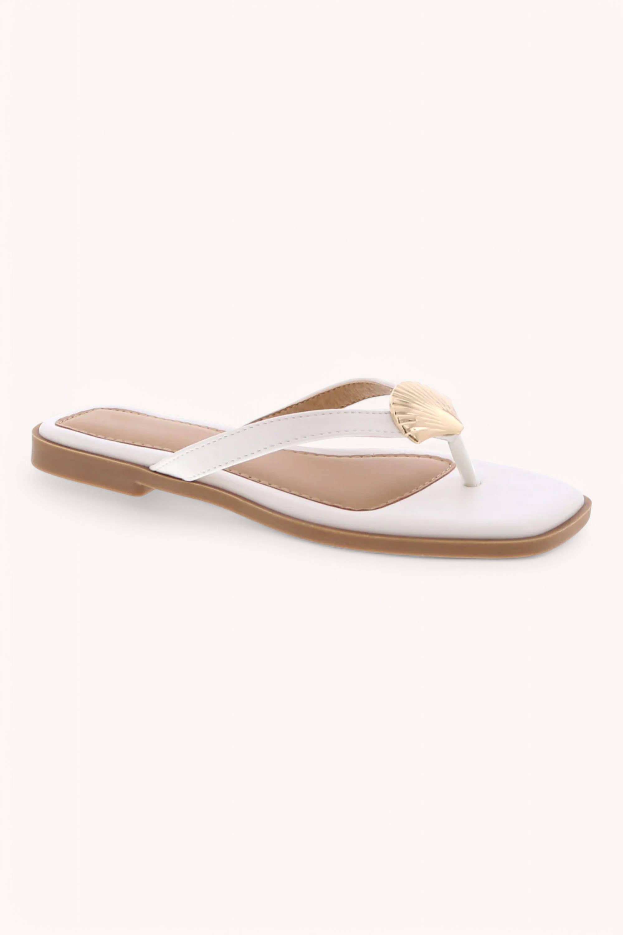 CCOCCI - Wholesale Sandals - Women's - DOHA-9 GOLDEN SHELL DECOR THONG STRAP SANDALS1