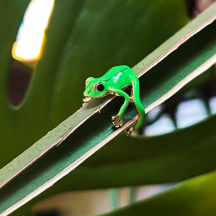 Gifts Amazing! - Wholesale Outdoor Ornament/Decor - Frog Plant Rings