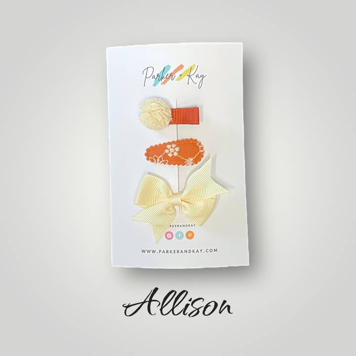 Parker and Kay Collective - Wholesale Hair Clip - Kids - Baby Mini Clips Variety Set9