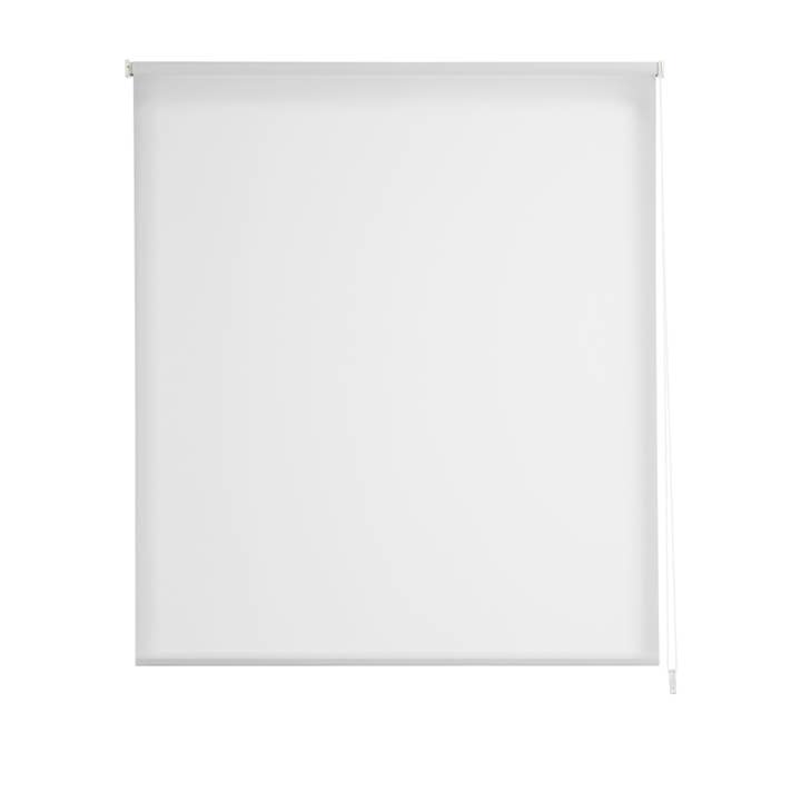 Blank Aral Smooth Translucent Roller Blind for wholesale on Faire