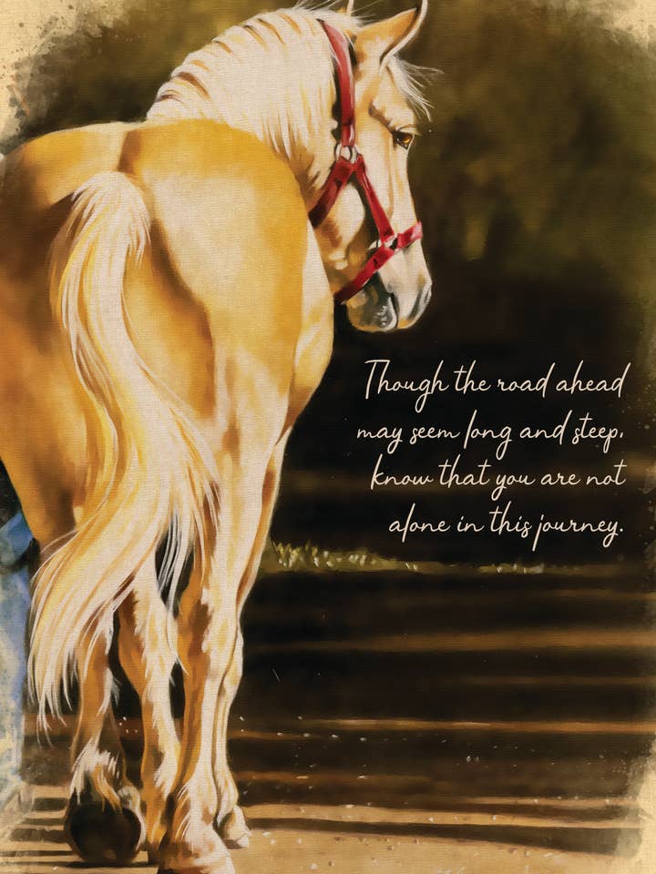 SY/Horse on Path for wholesale by Greeting Cards by Norcard