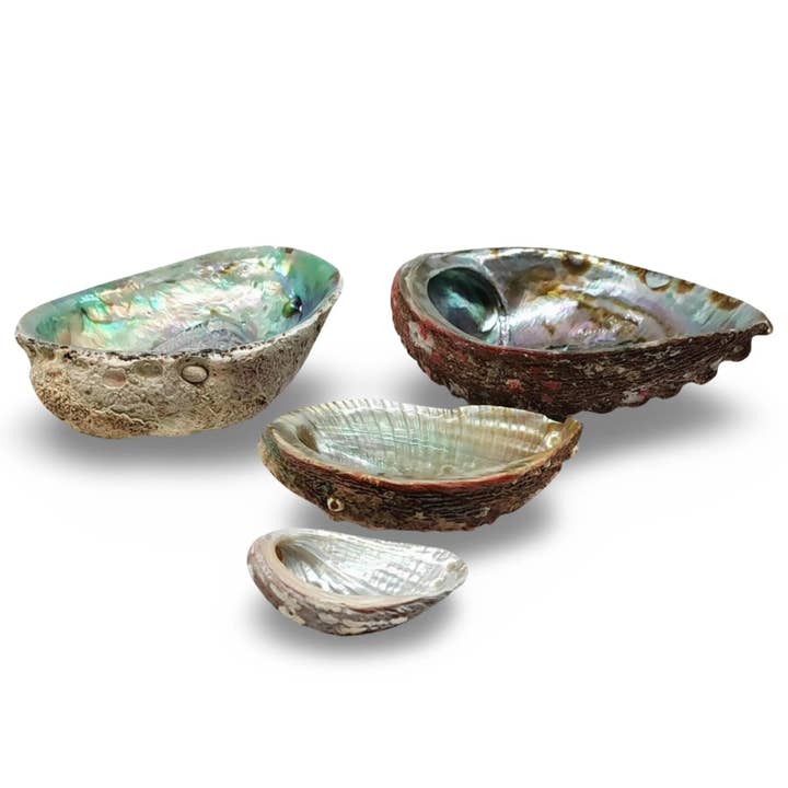 Arômes & Évasions – wholesale Smudge plate – Smudging - Abalone Shell