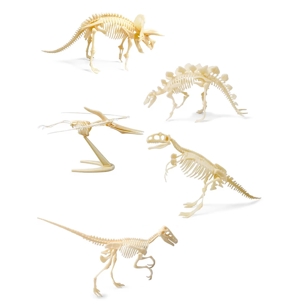 Texas Toy Distribution - Wholesale Build-a-Toy - Kids - Dinosaur Skeleton Realistic Model Assembly Peggable Kits1
