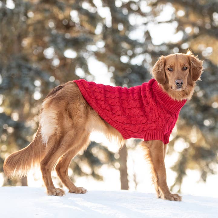 GF Pet - Wholesale Pet Sweater - Dog - GF Pet Chalet Dog Sweater - Red3