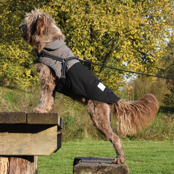 Croci - Wholesale Pet Coat - Dog - Manteau Tour padded dog coat with integrated harness and reflective details1