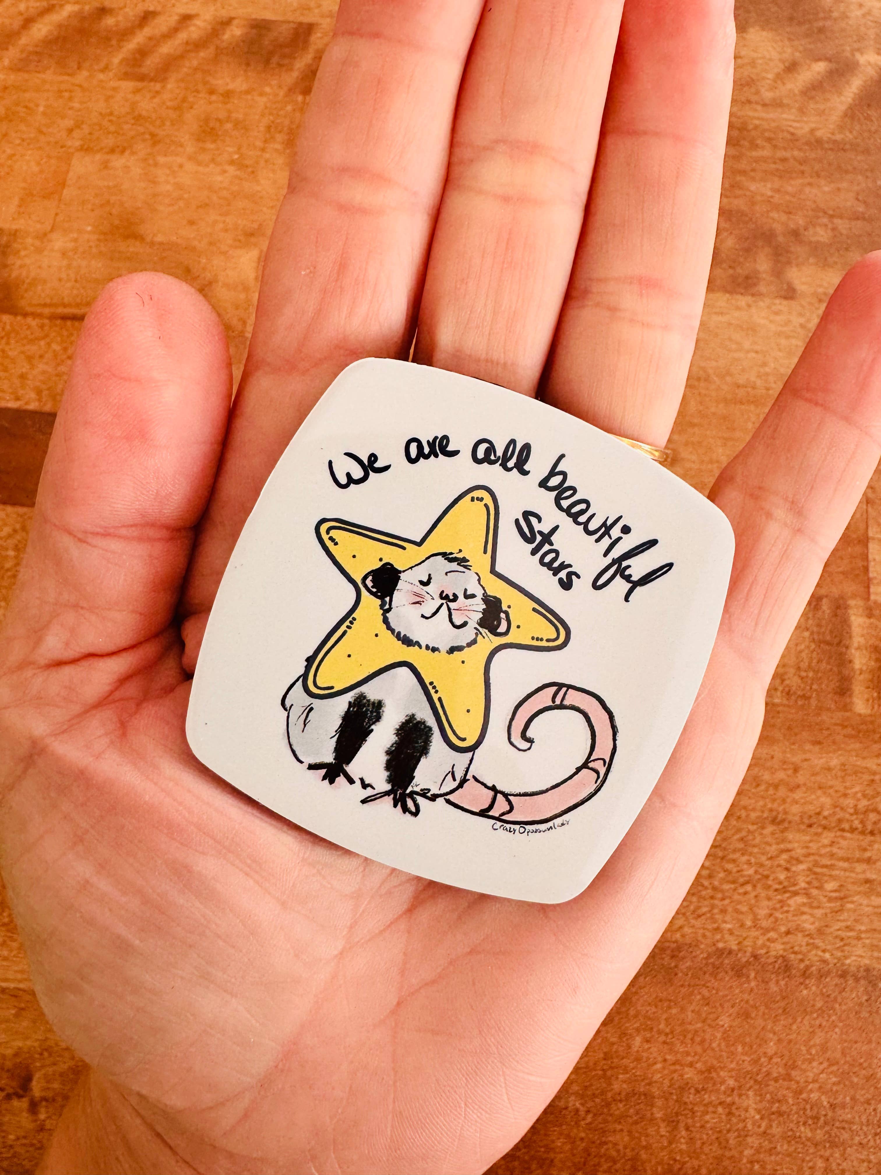 The Crazy Opossum Lady - Wholesale Magnet - Magnet Beautiful Stars Opossum Possum Gift Stocking Stuffer1