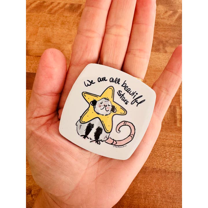 The Crazy Opossum Lady - Wholesale Magnet - Magnet Beautiful Stars Opossum Possum Gift Stocking Stuffer1