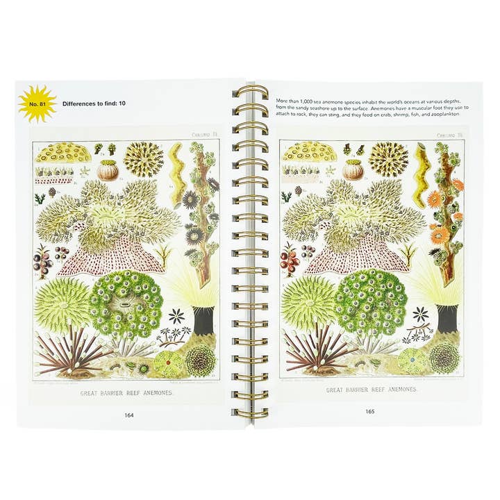 Cottage Door Press - Wholesale Coloring & Activity Book - Adult - Smithsonian Spot the Difference Natural Wonders Book2