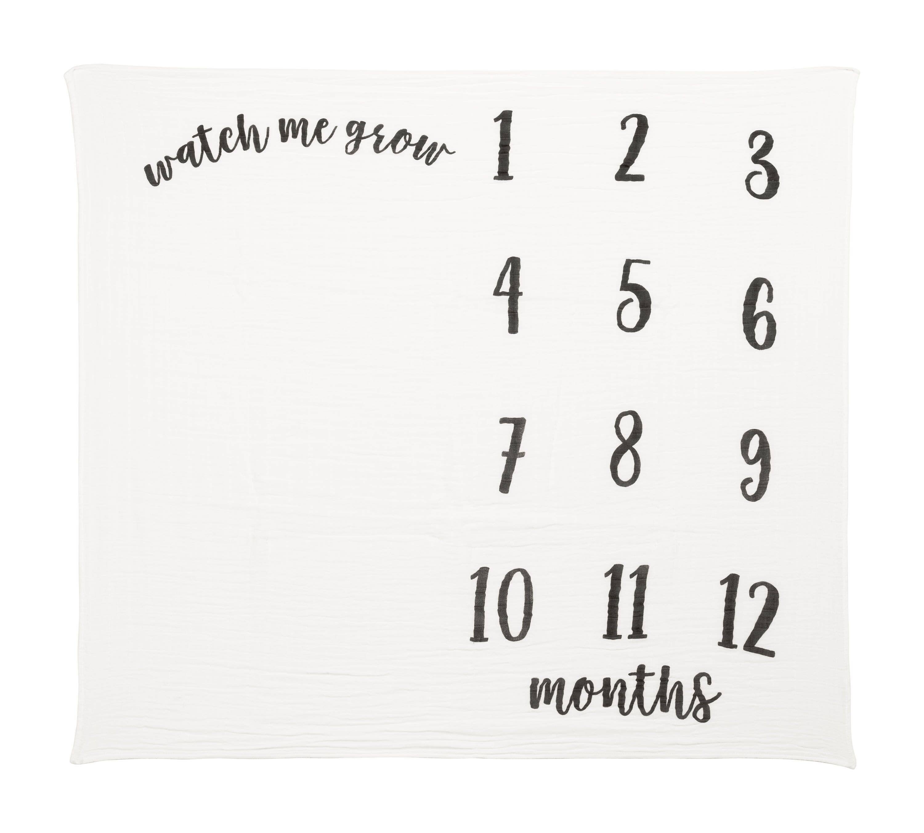 Kate & Milo - Wholesale Milestone Blanket - Kids & Baby - Baby Monthly Milestone Blanket, Photo Prop7