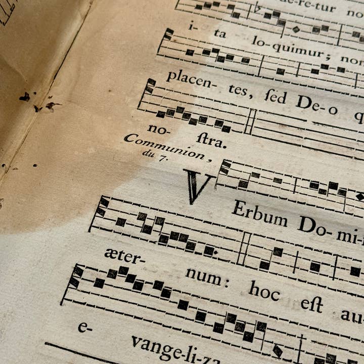 Monahan Papers - Wholesale Retailer Display - Paper & Novelty - Original Page from 1700s Antiphonarium - 250 Yrs Old - Set/34