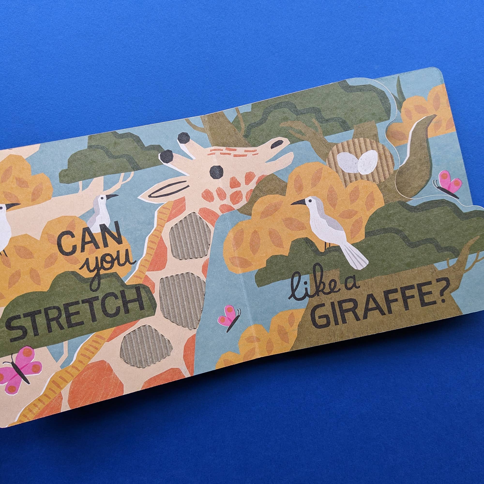 Robert Frederick Ltd - Vente Livre pour bébés et tout-petits (jusqu'à 2 ans) - Livre Eco Cased - Safari2