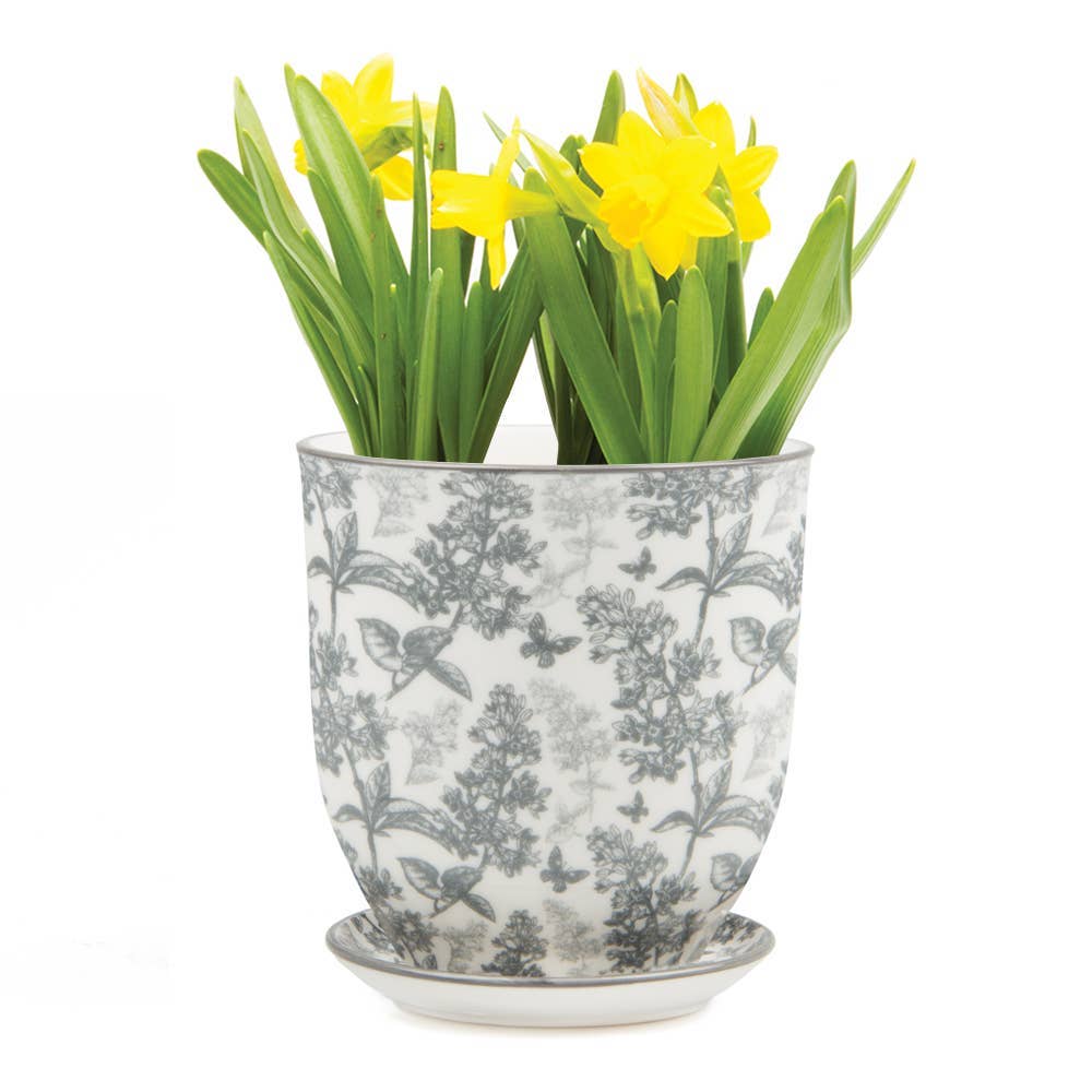 Chive UK – Großhandel Blumentopf – Liberte 3 - Keramik-Blumentopf mit Untersetzer und Abflussloch4