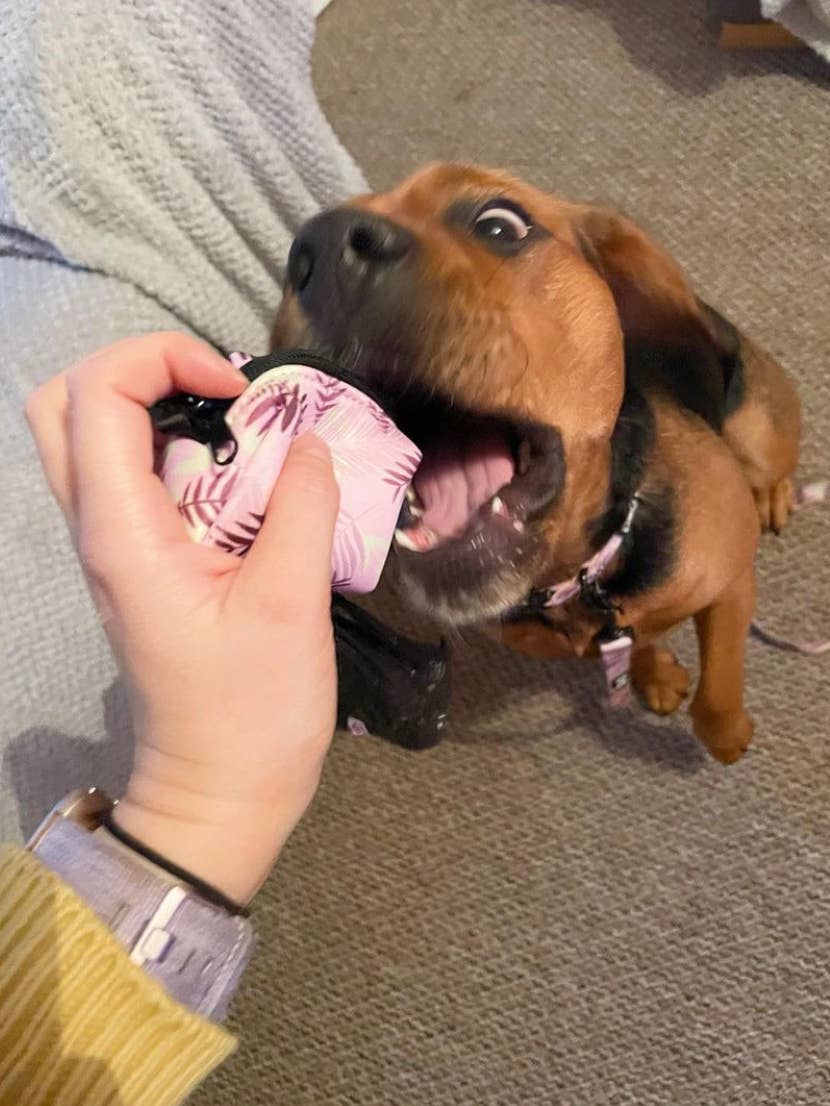 The Muttley Club - Wholesale Pet Poop Bag Dispenser - Palm Springs Poo Bag Holder2