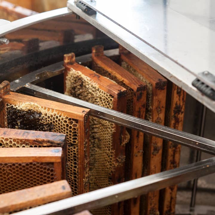 L'ABELLA MIEL - Venta al por mayor Miel - L'Abellamel Miel De Brezo De 1000G2