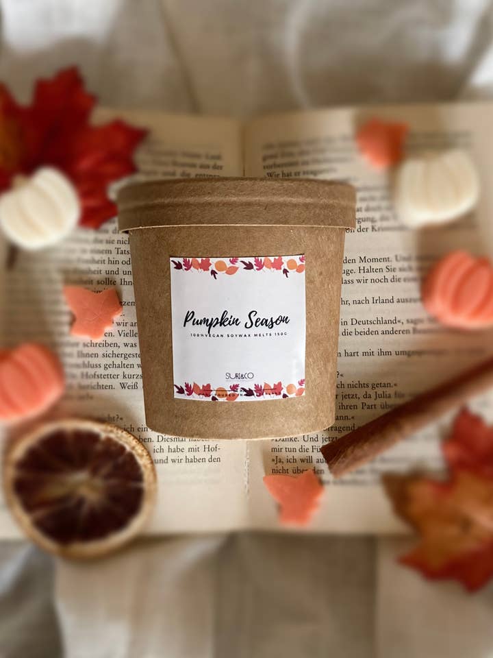 Saison de citrouille pour la vente par Suri & Co.Ch