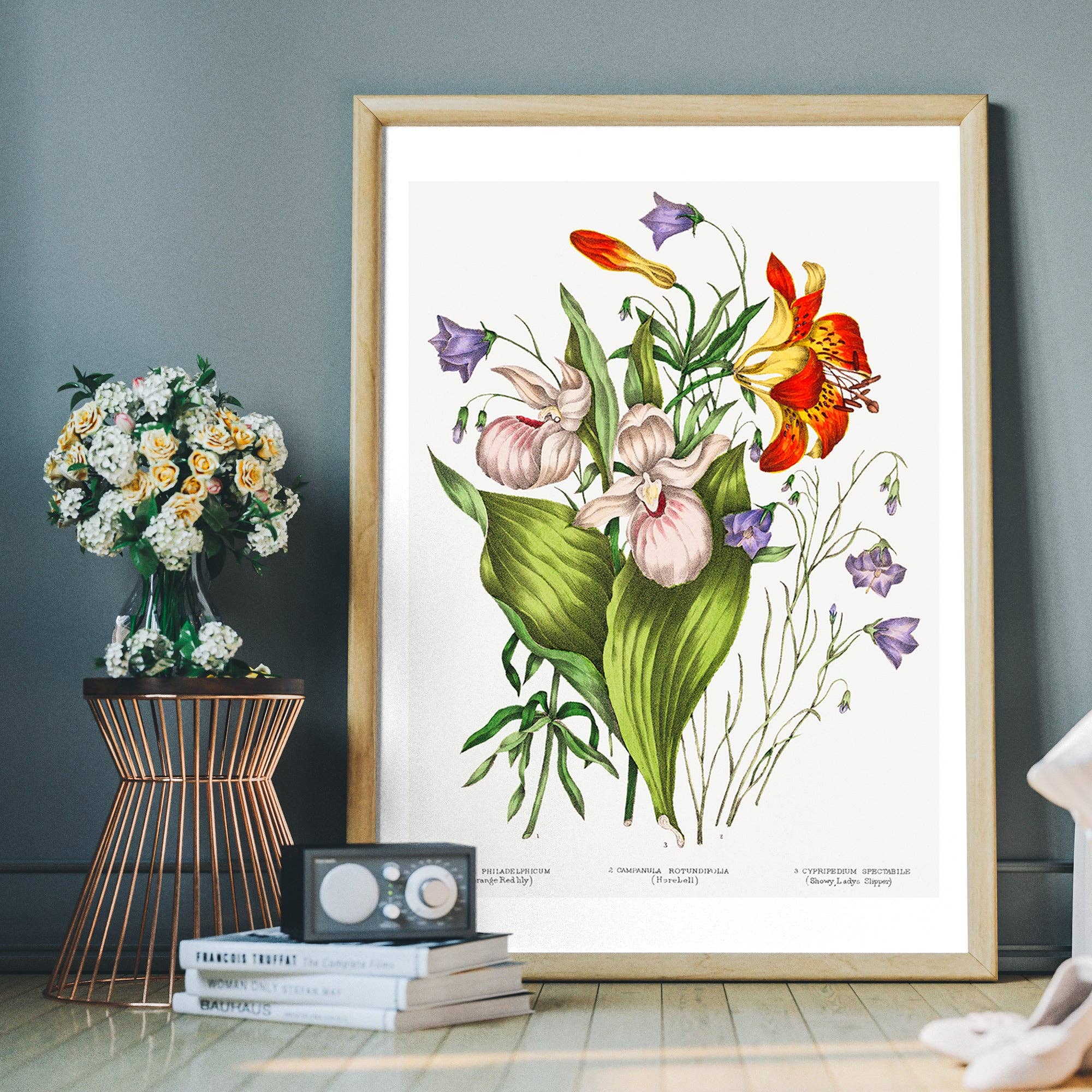 Ink & Drop – wholesale Art print – Canadian Wild Flowers Antique Illustration Print3