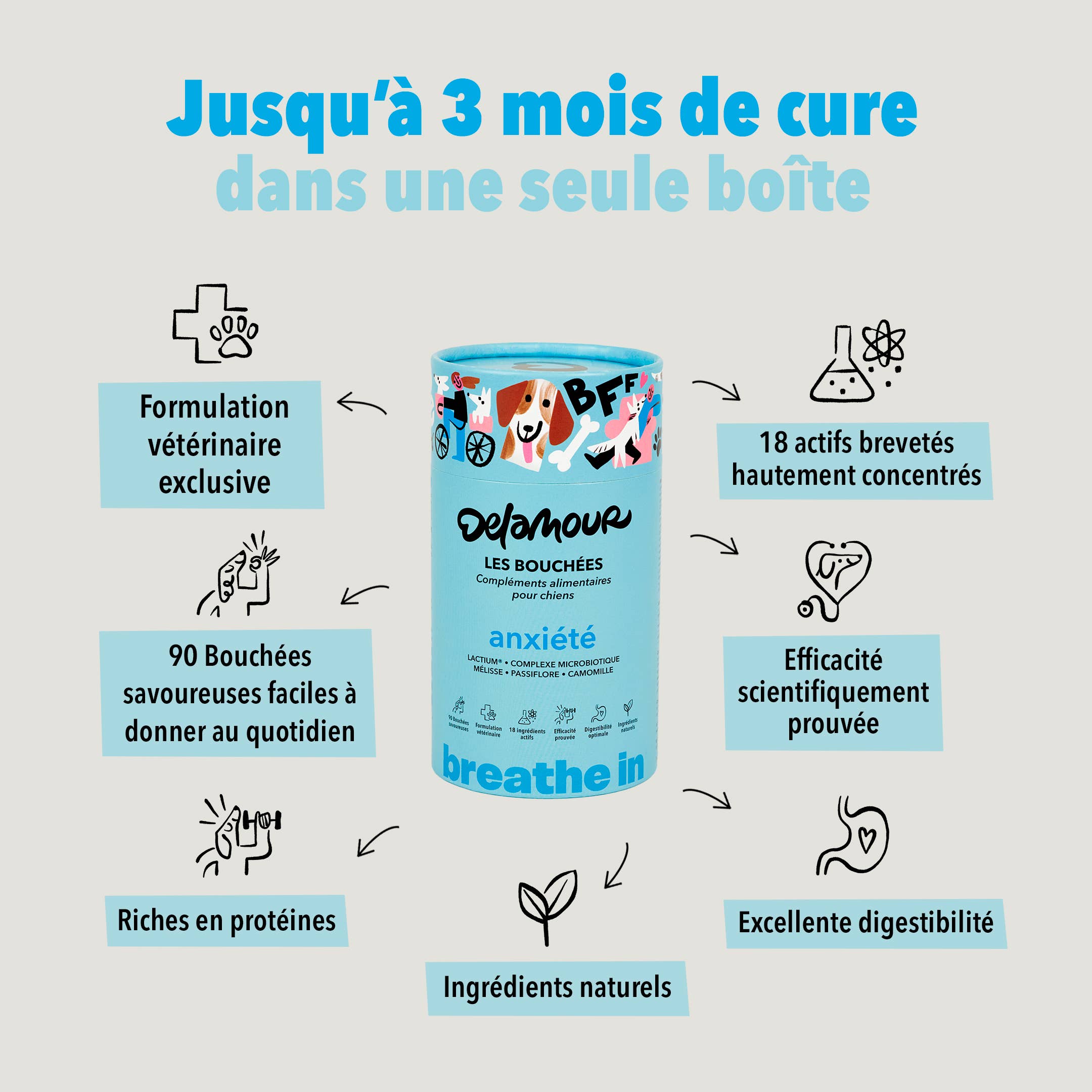 Delamour - Wholesale Pet Supplement - Dog - Les Bouchées - 90 chews to fight Anxiety (270g)2