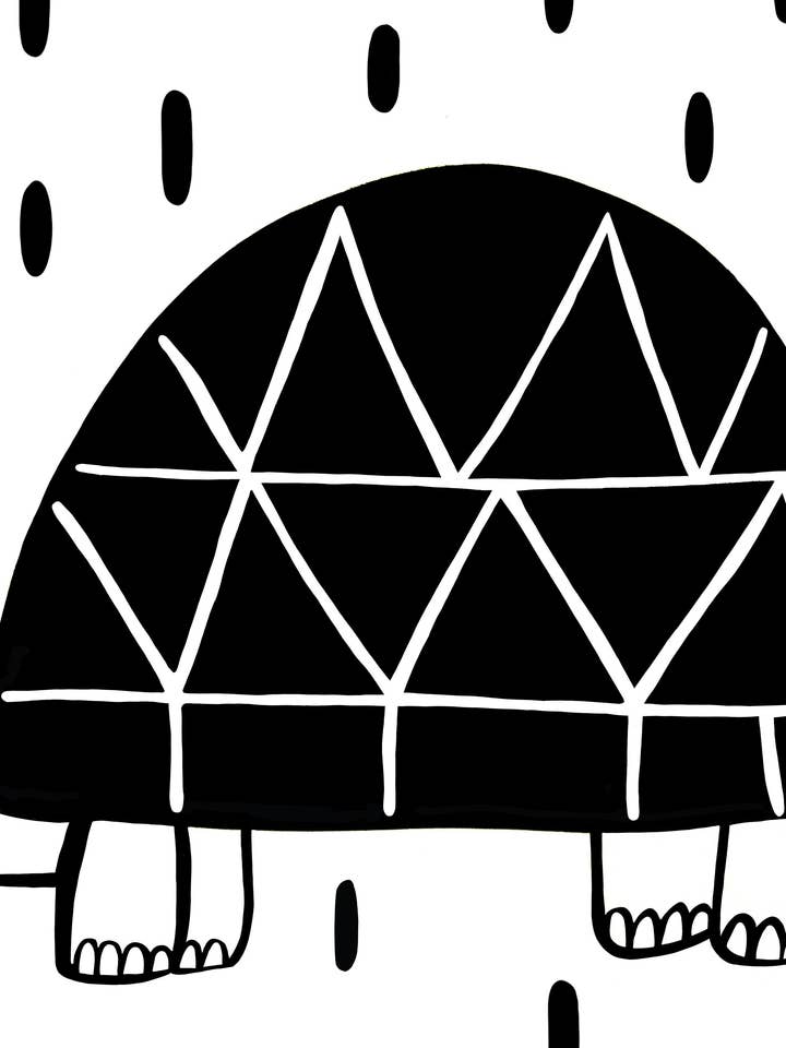 Tartaruga per la vendita all'ingrosso da parte di MARTA ABAD BLAY