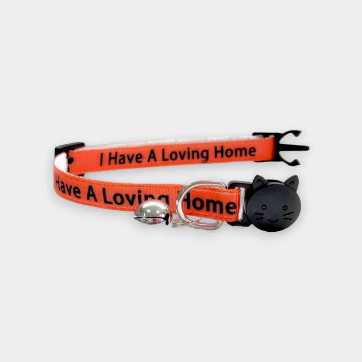 Zacal Cat Collars – wholesale Pet collar – Cat – I Have A loving Home' Kitten Collar - Orange