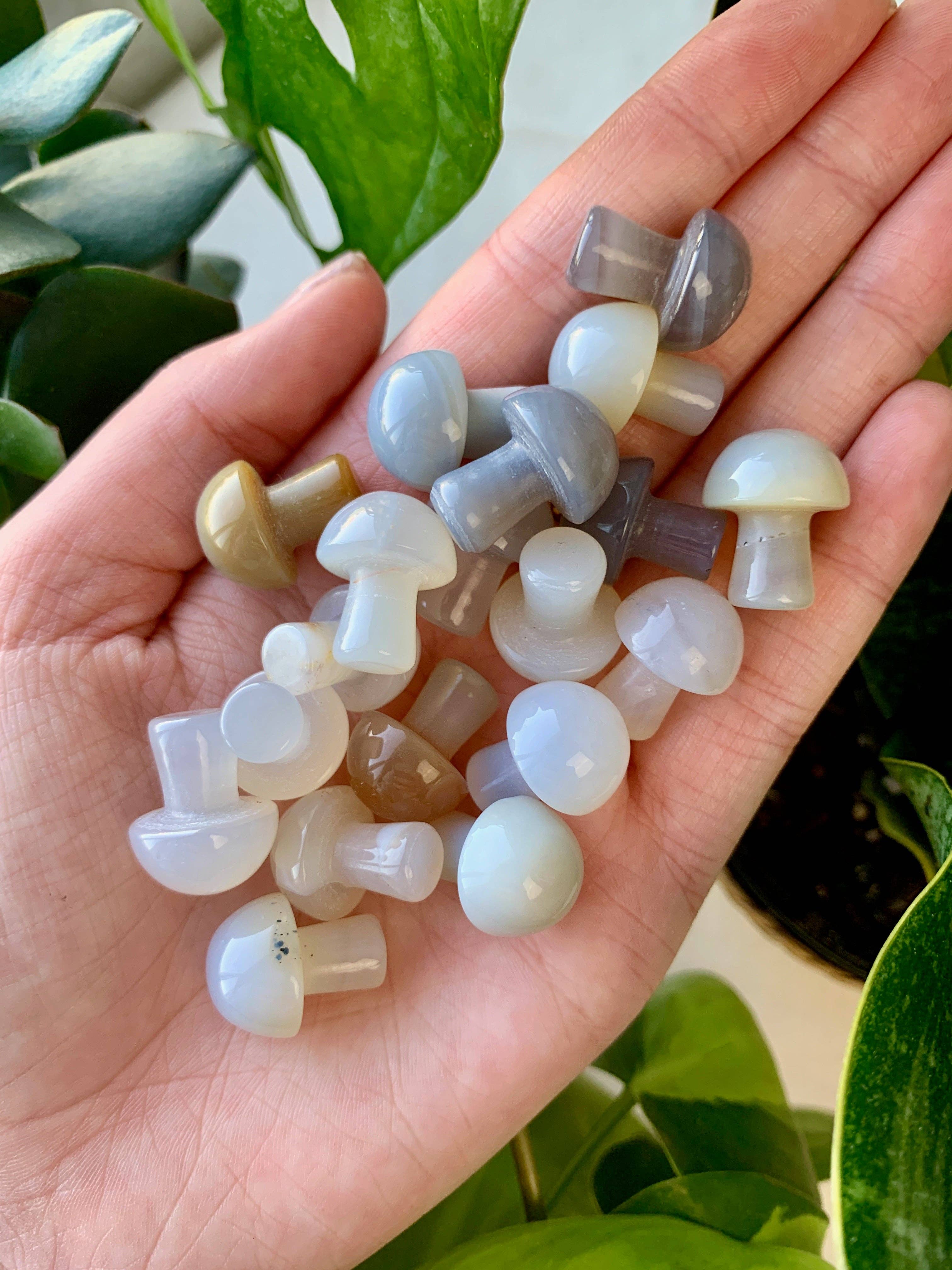 Crystal Vibes Inc. - Vendita all'ingrosso Pietra/cristallo spirituale - Mini intagli a forma di fungo0