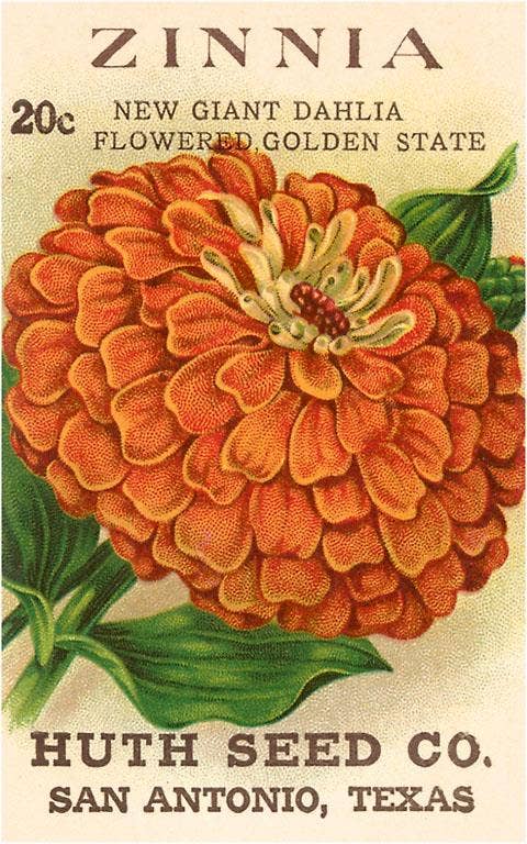Found Image Press - Wholesale Postcard - Postcard GD-18 Zinnia Seed Packet0