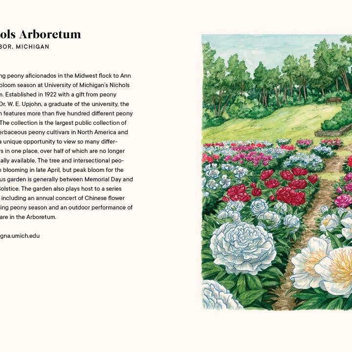 Paige Tate & Co. - Wholesale Book - Adult - A Little Book of Flowers: Peonies