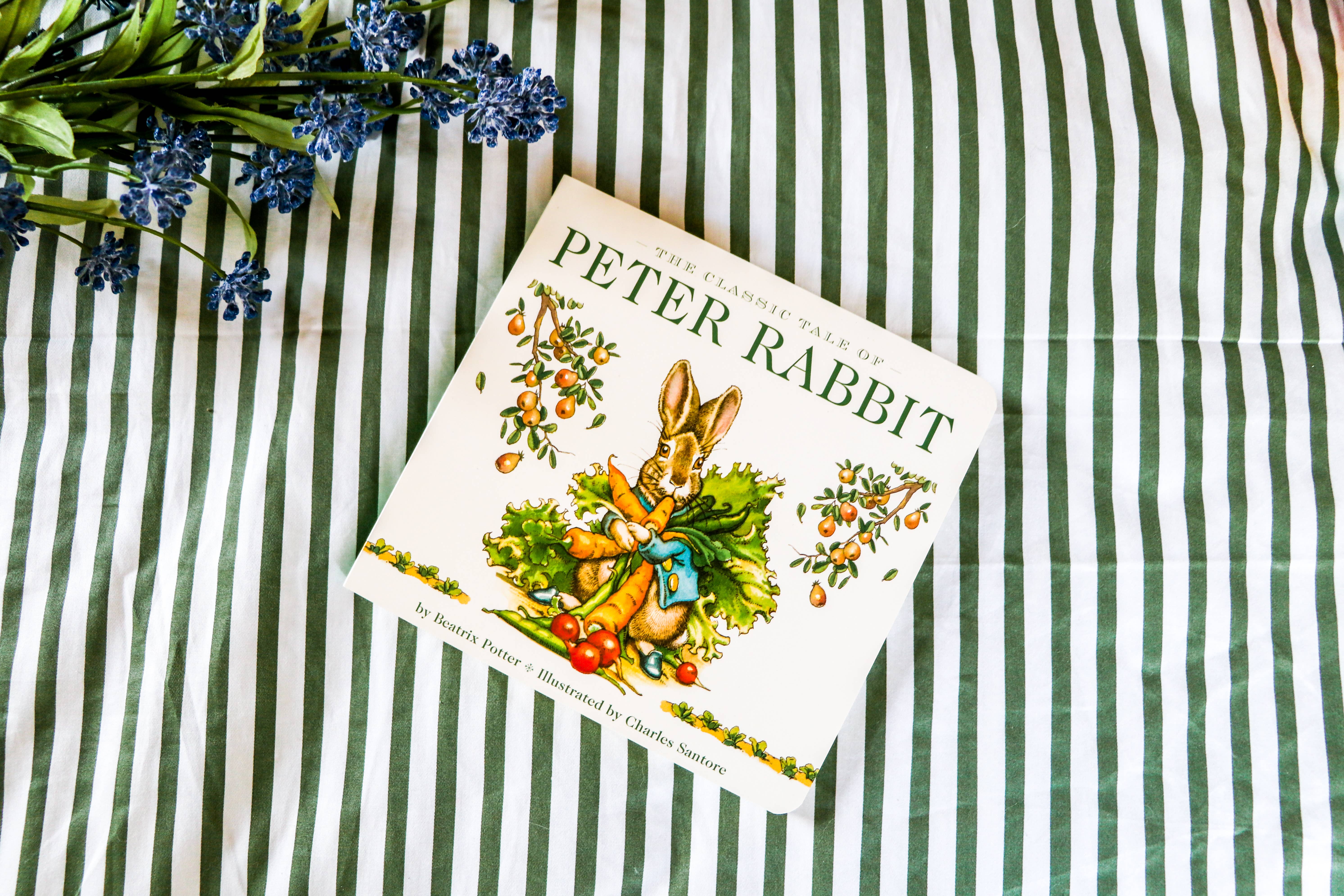 HarperCollins Focus - Wholesale Baby & Toddler Book (0-2) - The Classic Tale of Peter Rabbit Board Book: Revised Ed4