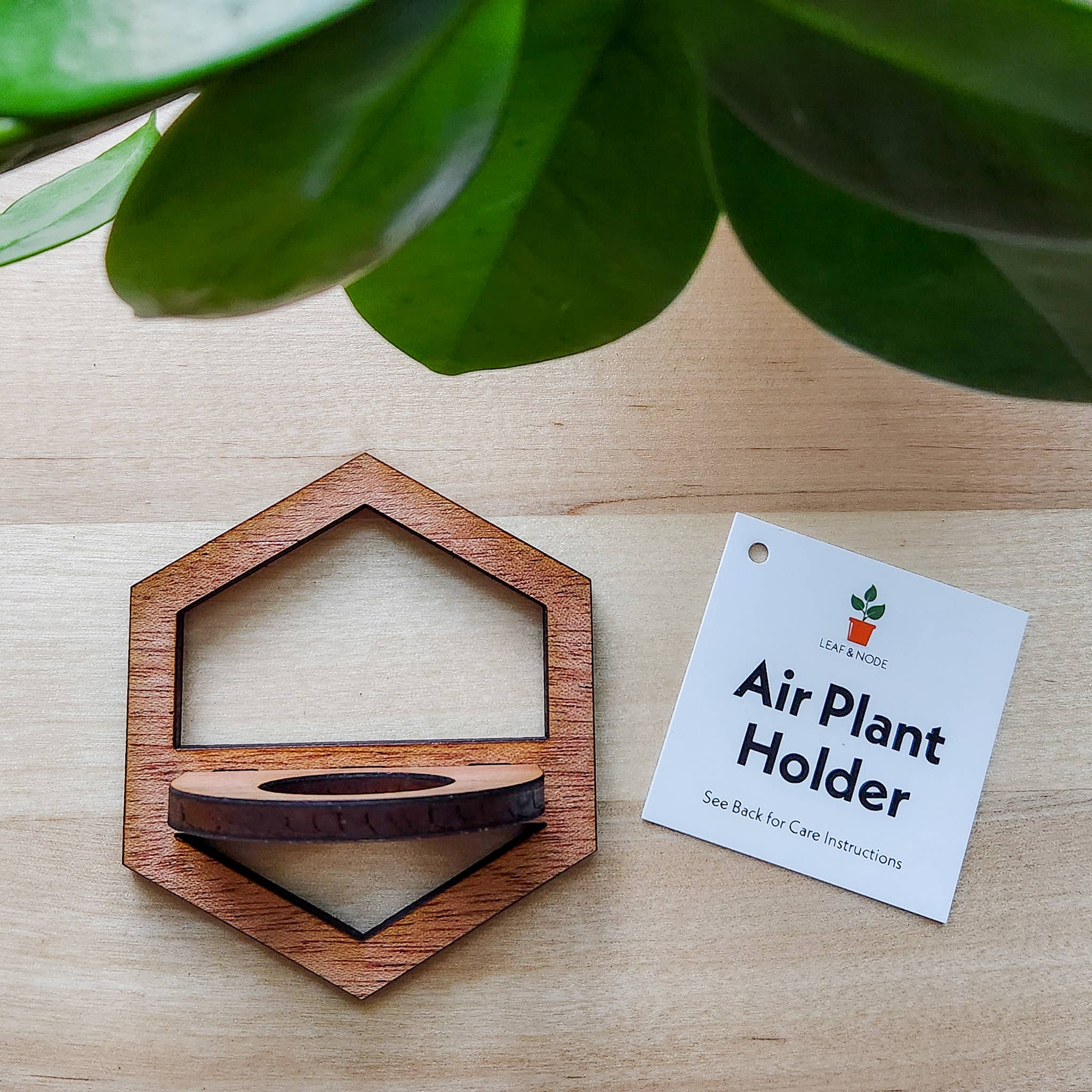 Leaf & Node - Wholesale Hanging Planter - Air Plant Holder, Wall Hanging, Wooden Hexagon Outline10