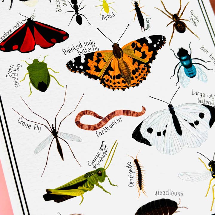 Pixiecraft - Wholesale Art Print - Garden Bug Wall Art Print: Nature Inspired Educational Prints5