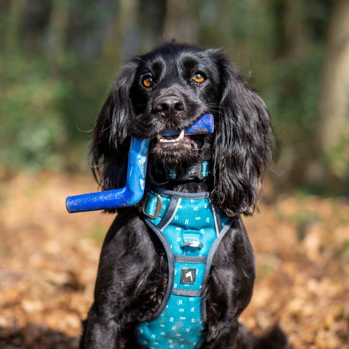 Twiggy Tags – wholesale Pet fetch ball – Dog – ZigZoom™ Interactive Safe Fetch Recycled Rubber Dog Toy1