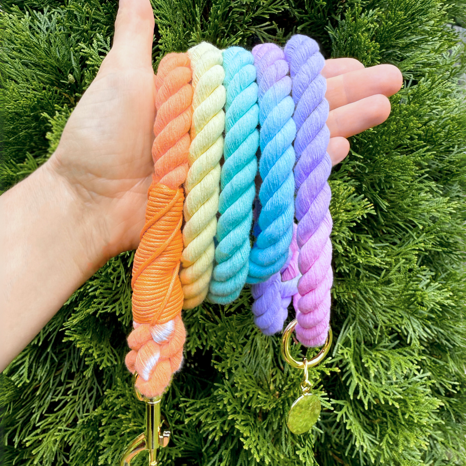 DJANGO - Wholesale Pet Leash - Dog - Cotton Rope Dog Leash - Sunrise Ombré5