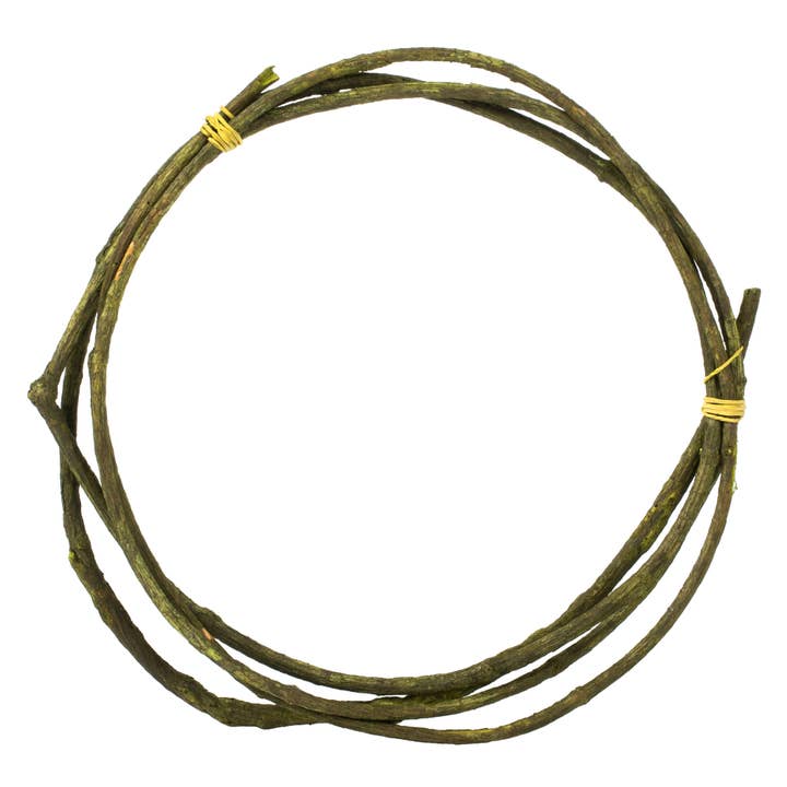 Vickerman 95-100" Basil Tranca Vine Coil, 1 coil, Dried for wholesale by Vickerman